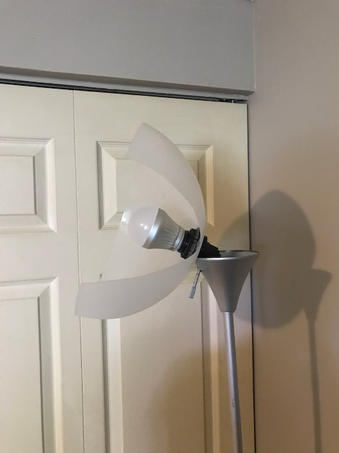 Second photo by Sandra W of Zoom Movers - Large