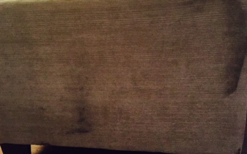 Second photo by Dria of Crown Van Lines - Large