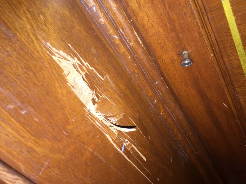 Photo by Lucia Ferraz of Speedee Movers - Large