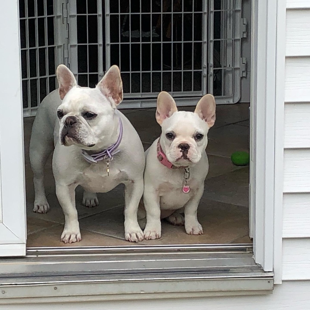 Photo by Laura Havranek of Trinity Relocation Group - Large