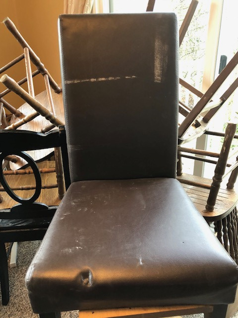 Photo by Melissa Y Hoffort of Atlantic Van Lines - Large