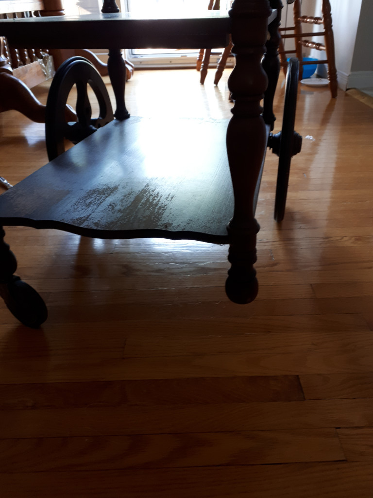 Photo by Kathy Spencer of Atlantic Van Lines - Large