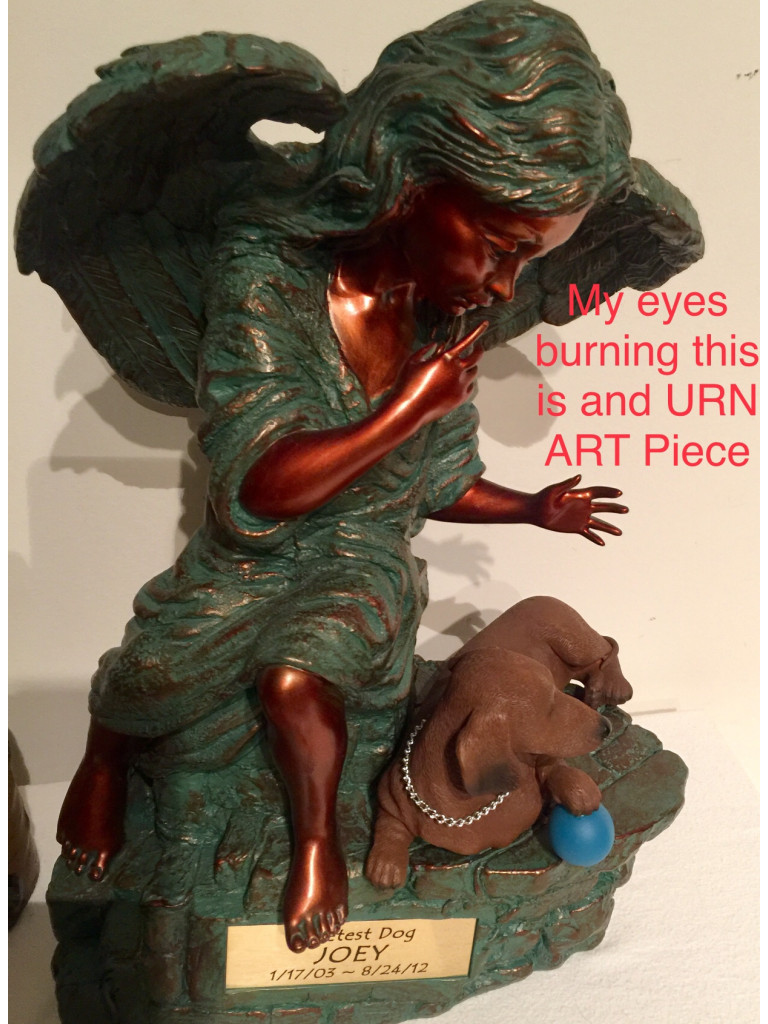 Photo by Marsha Moore of Trans Van Lines - Large