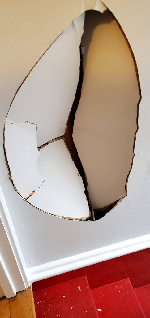 Second photo by Diane Katz of International Van Lines - Large