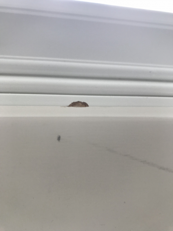 Photo by Sam Mehta of Corrigan Moving Systems - Large