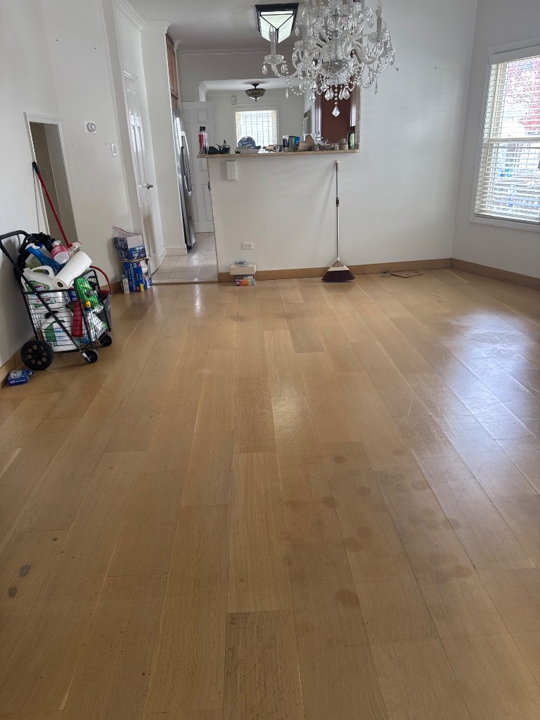 Photo by Solomon Mosseri of Dumbo Moving and Storage - Large