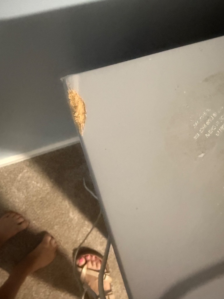 Photo by Tara Malone of All My Sons Moving and Storage - Large