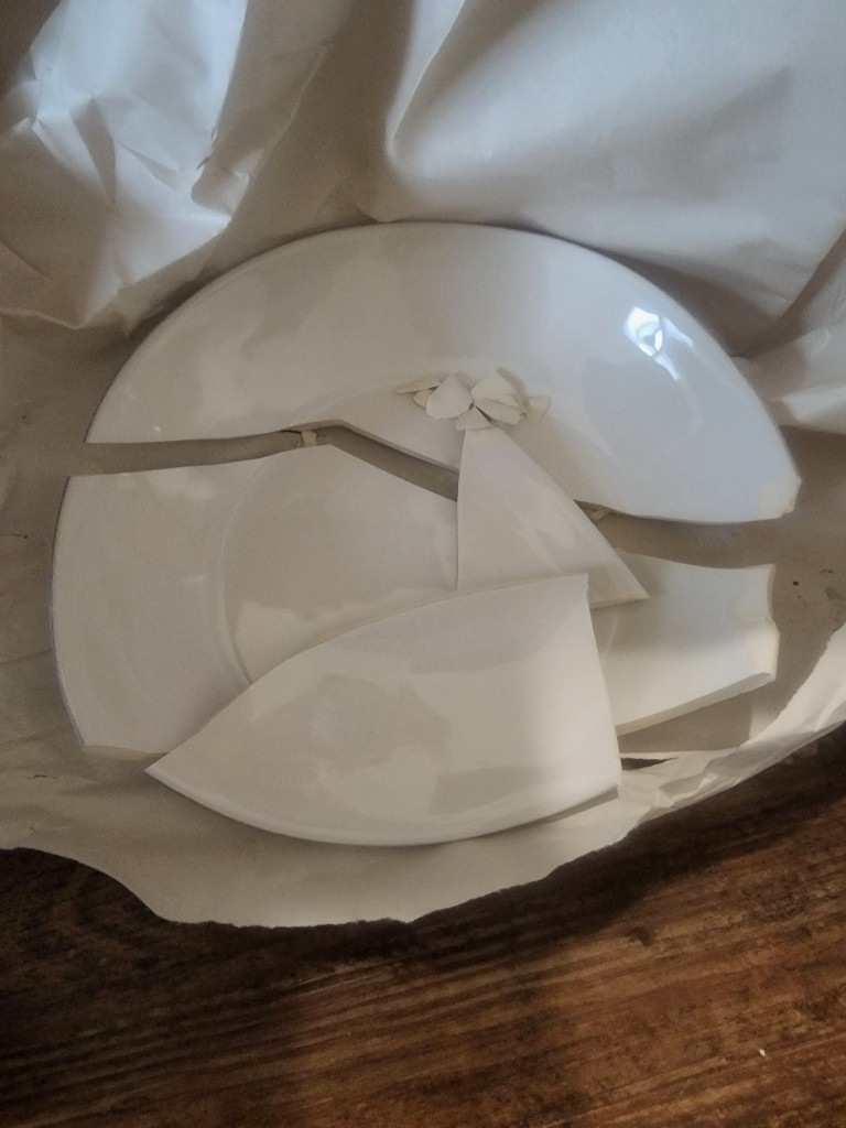 Photo by Erin Karre of Moving Direct Van Lines LLC - Large