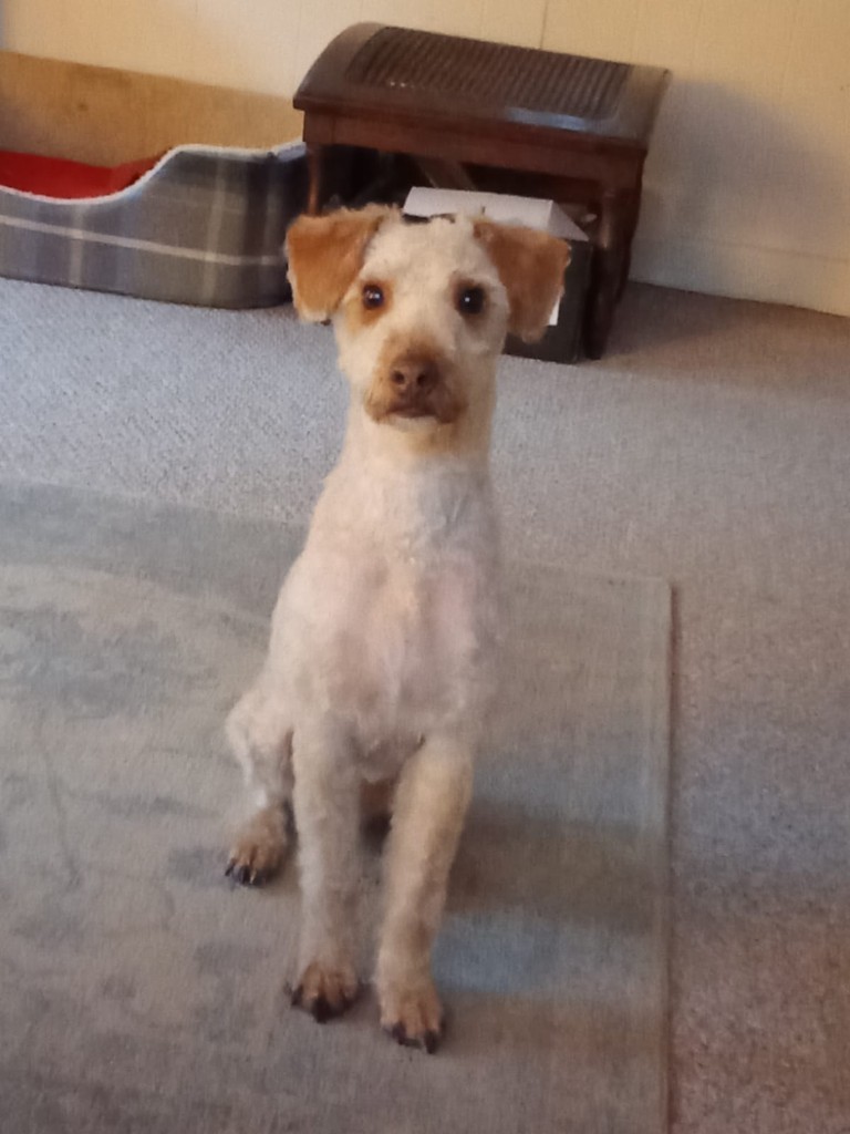 Photo by Flissy Hadfield of Hamiltons Removals - Large