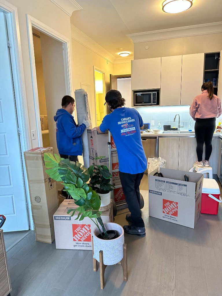 Photo by Mustafa Afzal of Let's Get Moving - Large