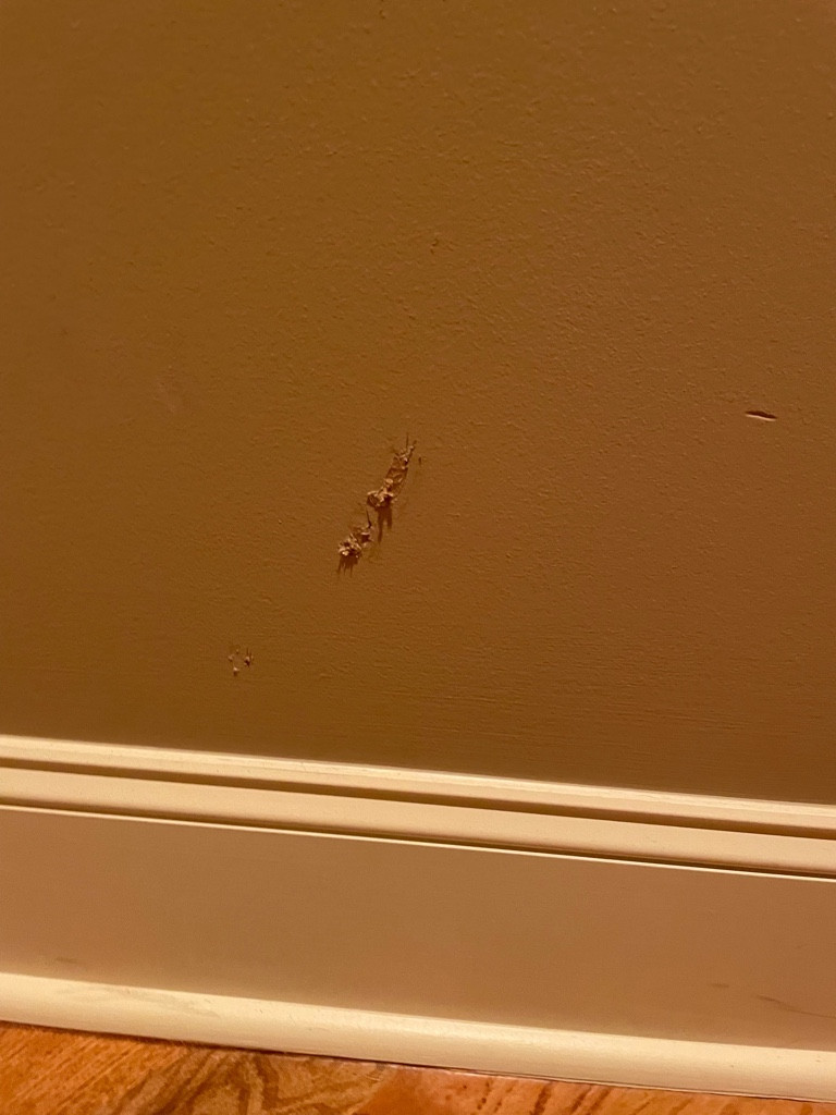 Photo by Gretchen Shay of Nationwide Moving Services Inc - Large