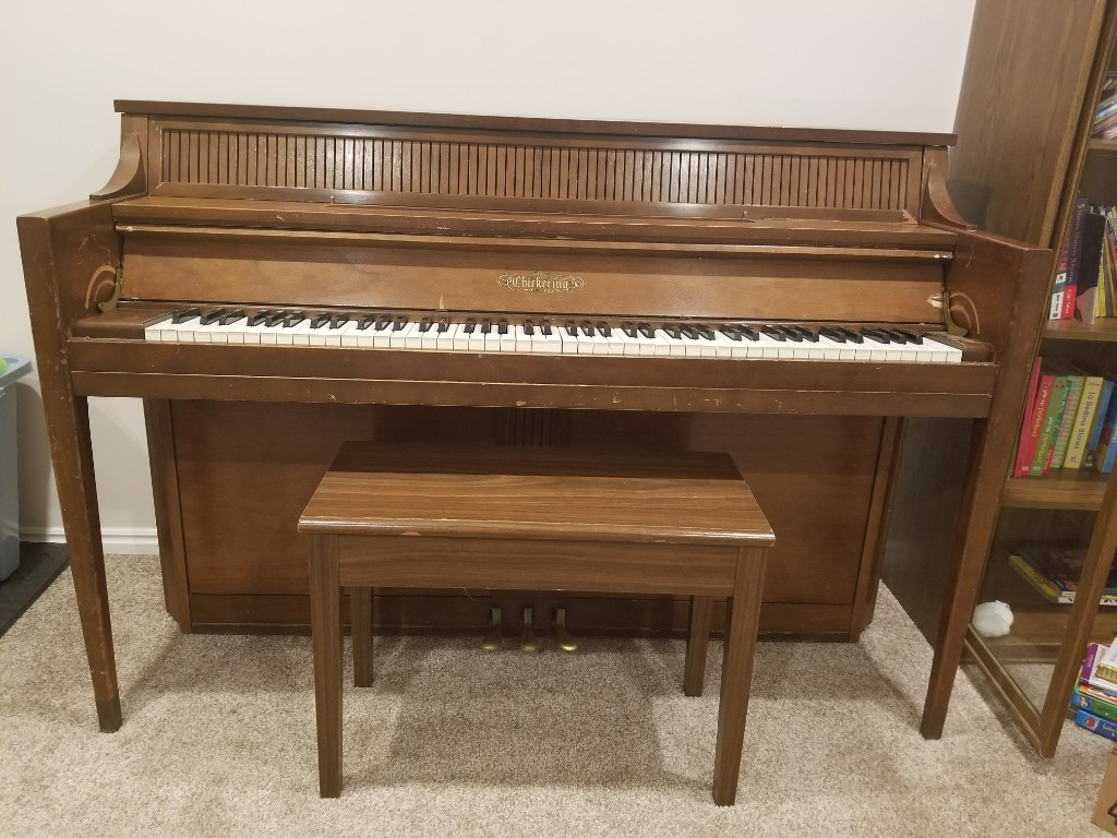 Photo by Christina Light of Furniture Master - Large