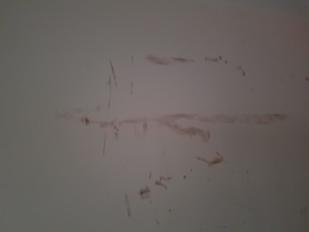 Photo by Kelly of Mega Moving Service - Large