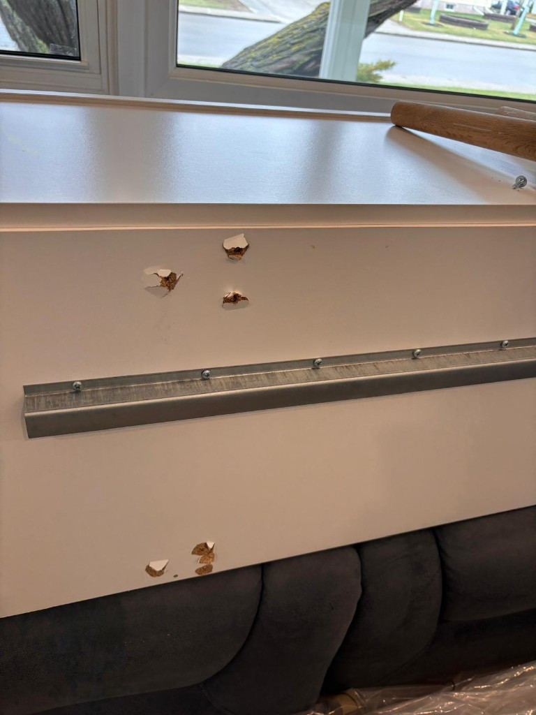 Photo by Mario Carvajal of Alliance Van Lines inc. - Large