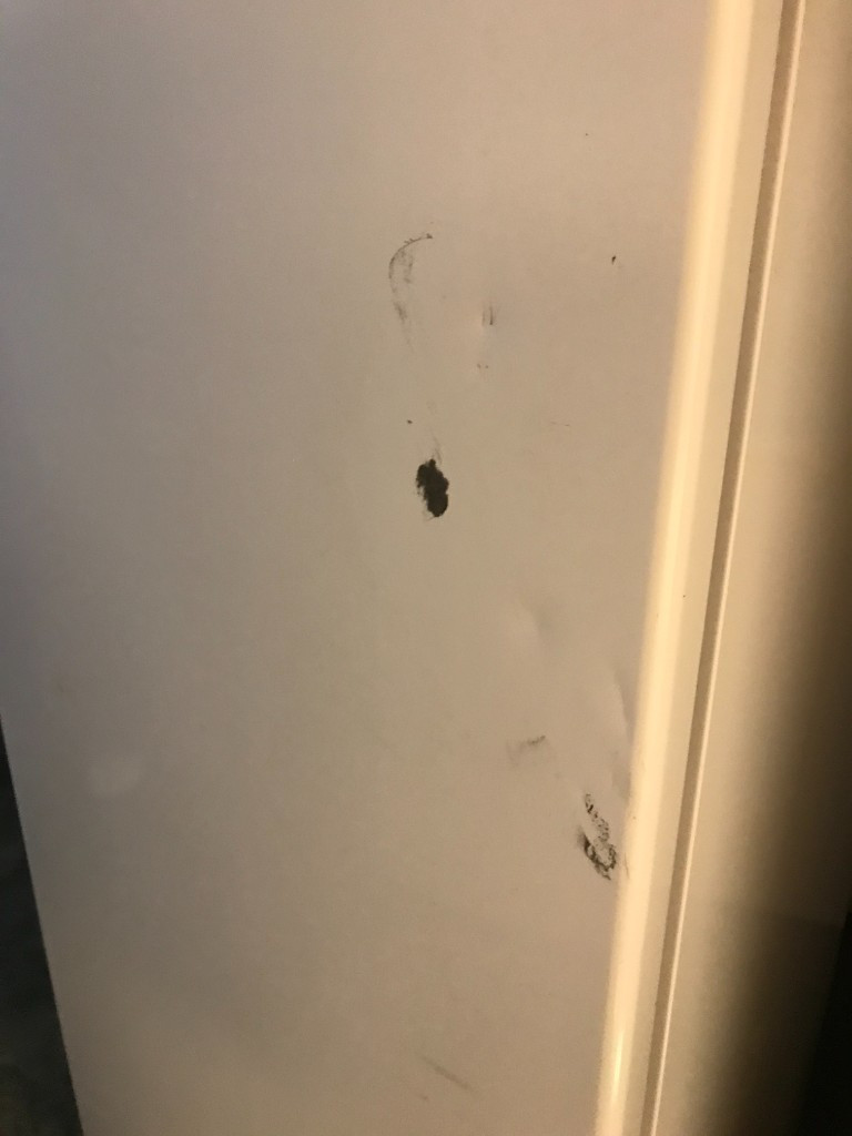 Second photo by Blanka Thornton of S & M Relo LLC - Large