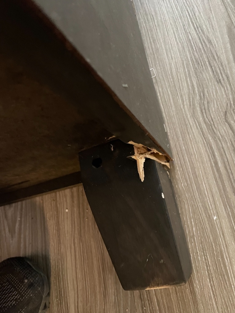 Photo by Angela Spahr of Gold Standard Moving and Storage LLC - Large