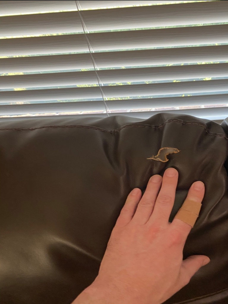 Photo by Brendan Wooten of Geo Van Lines - Large