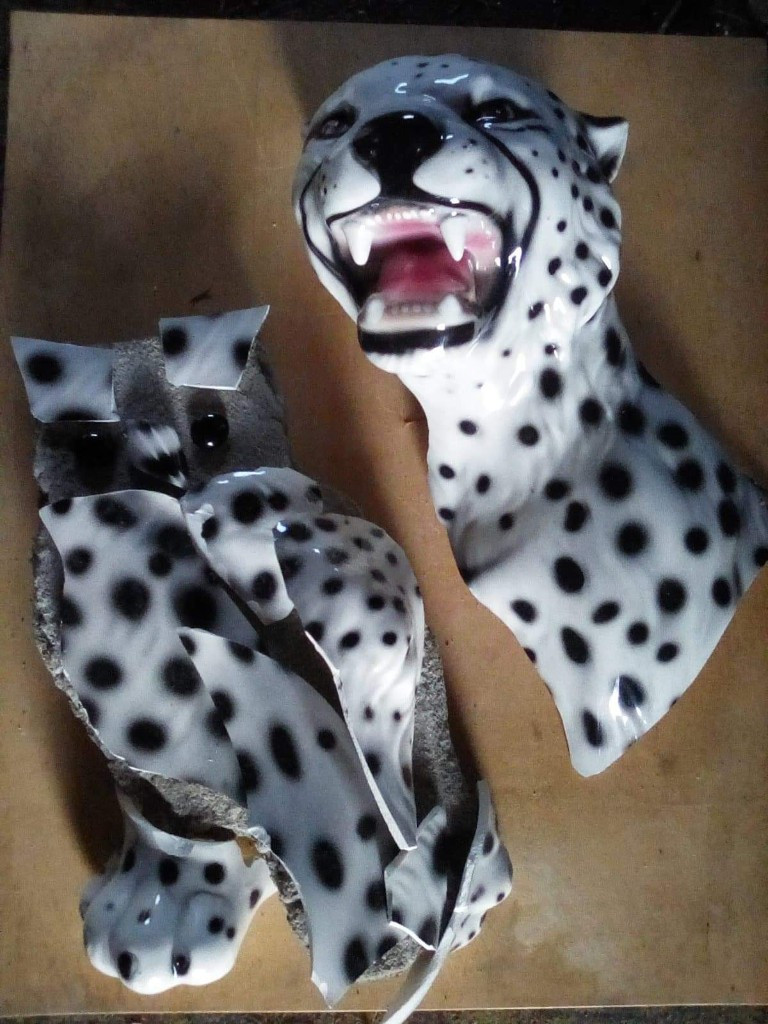 Photo by Strider Agost of Allegiance Moving and Storage LLC - Large