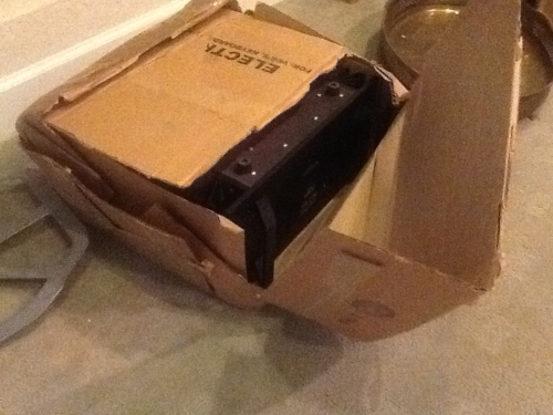 Photo by Susan Kaufman of iMove Green - Large