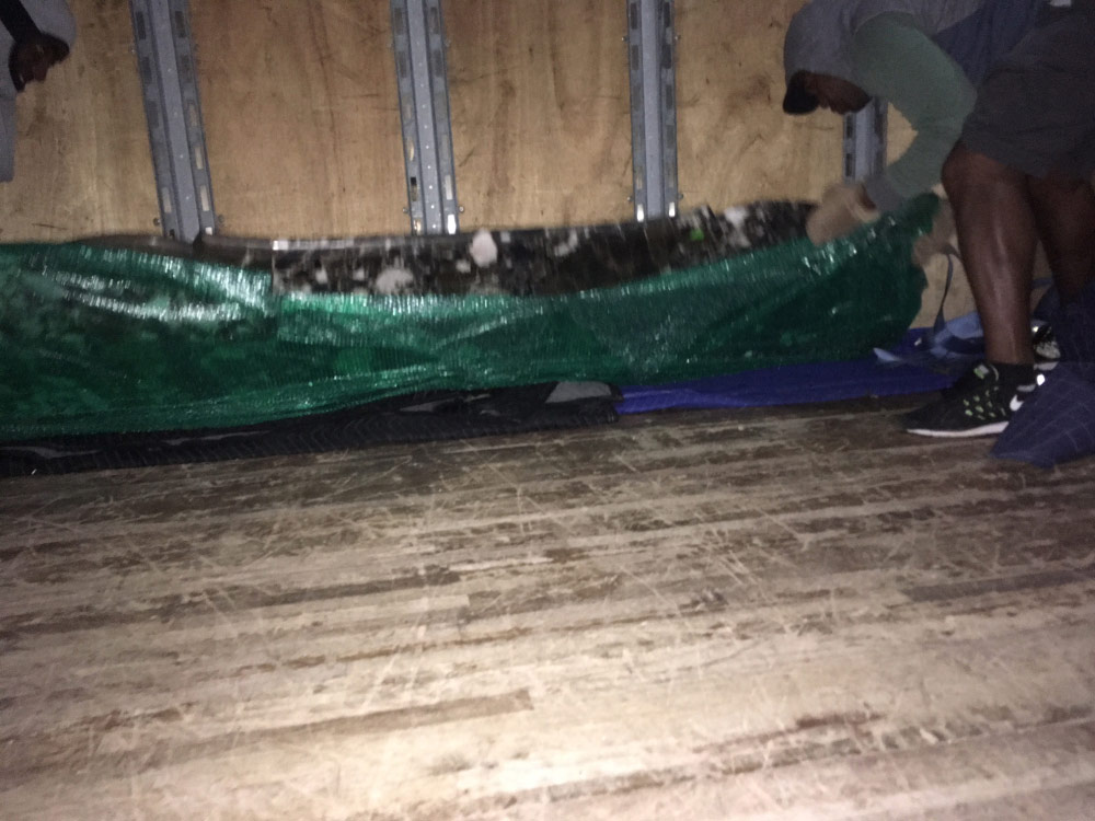 Photo by Rory Walck of Eazy Moving Corp - Large