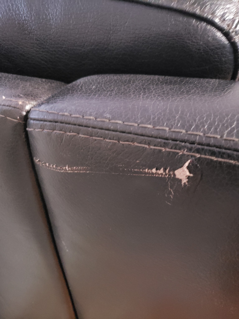 Second photo by Hagos Hab of Trans Moving - Large