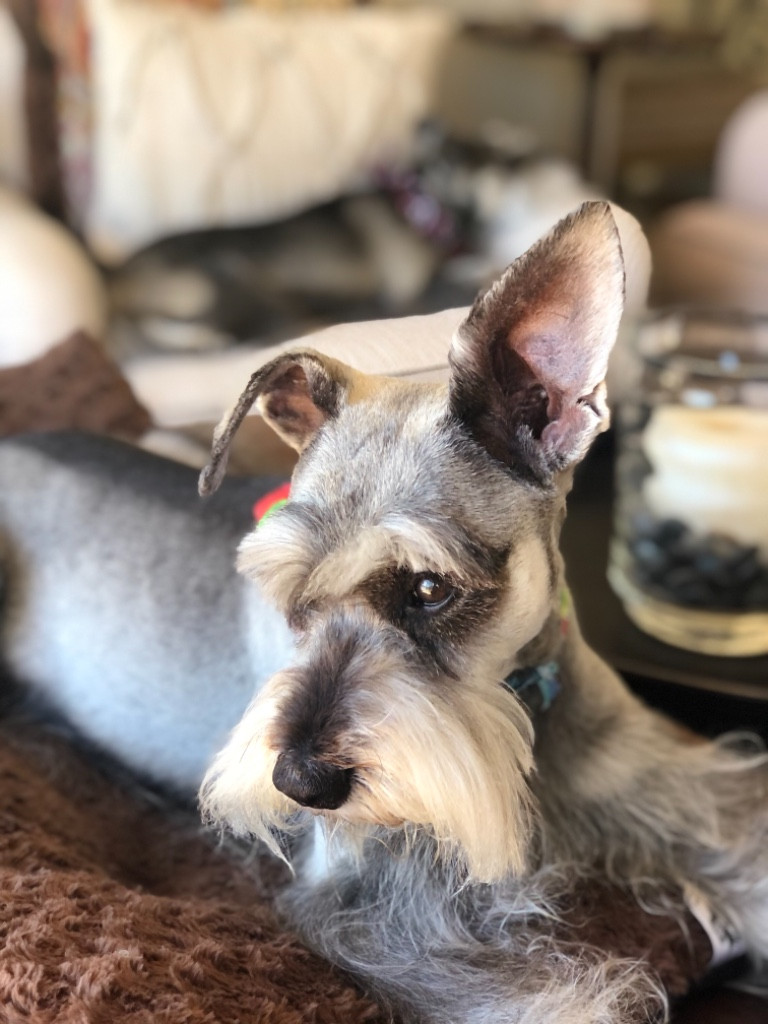 Photo by Kathy Cauley of Montway Auto Transport - Large