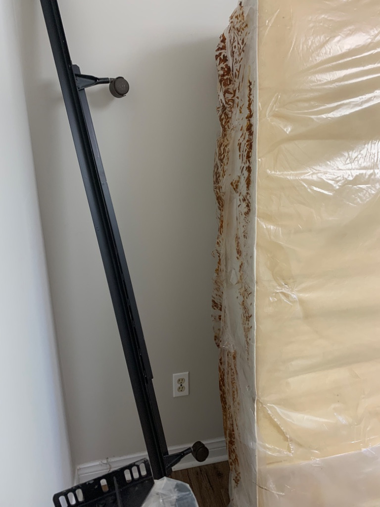 Second photo by Vernon Bellows of TLC Movers - Large