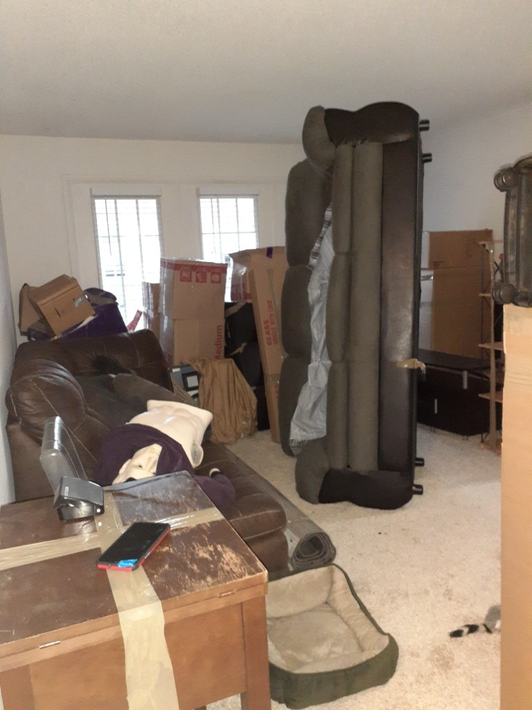 Second photo by Kim Hawthorne of All American Van Lines - Large