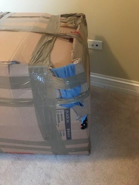 Second photo by Andrea Stec of International Van Lines - Large