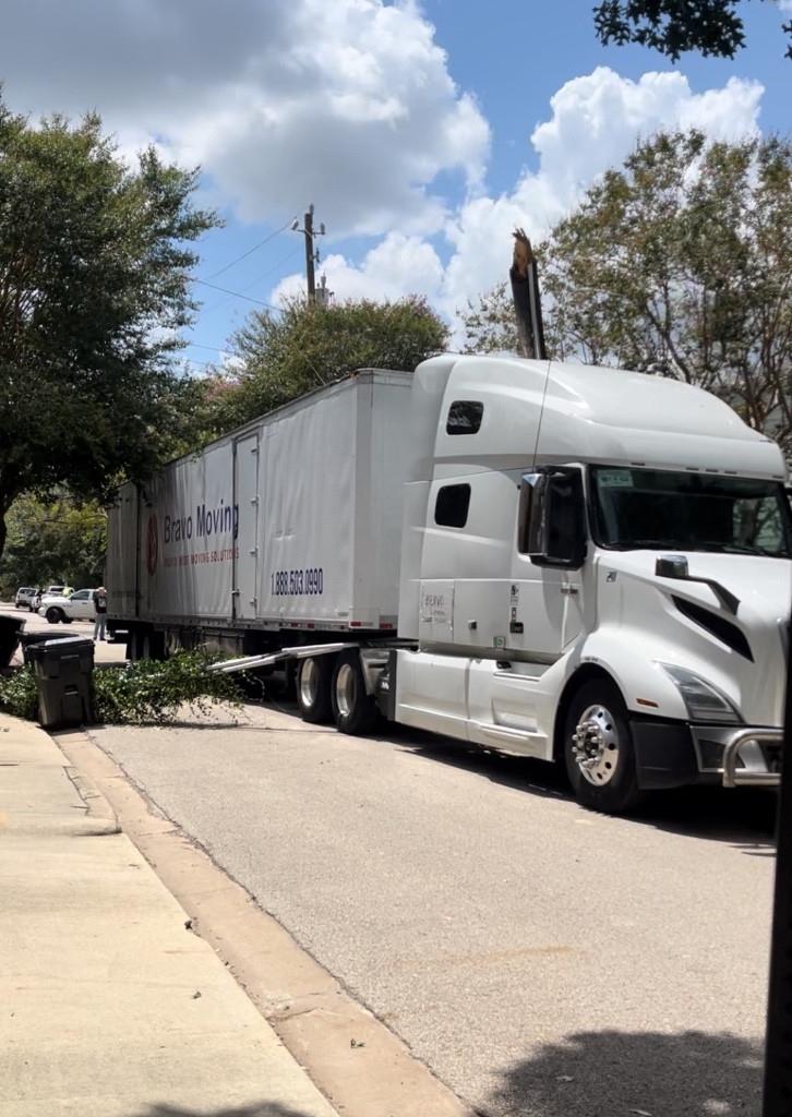 Photo by Tomo Besu of Bravo Moving - Large