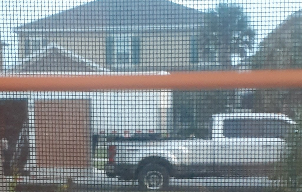 Photo by Jessica Bliven of Western Van Lines - Large