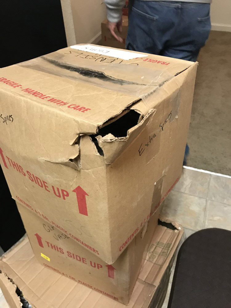 Second photo by Jennifer Oneil Burdick of We Move U - Large