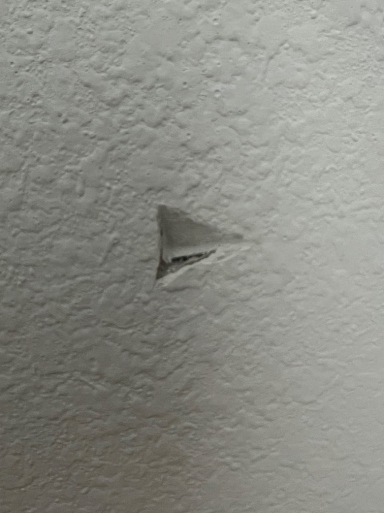 Second photo by Dani Ivanova of Sorensen Moving & Storage - Large