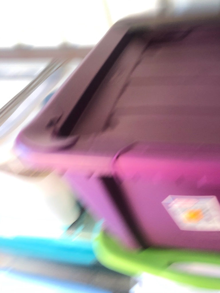 Second photo by Lisa Carter of Active Moving Inc - Large