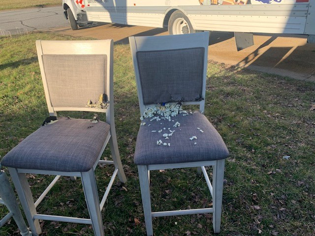 Photo by Kristie Schuetz of Geo Van Lines - Large