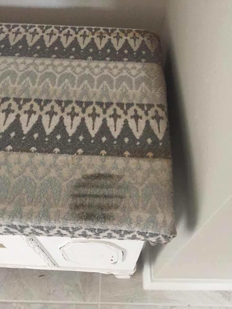 Second photo by Fran Cirrincione of Long Distance Relocation Group Inc - Large