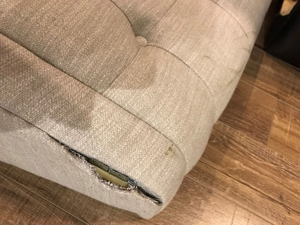 Photo by Sara of Carefree Moving - Large