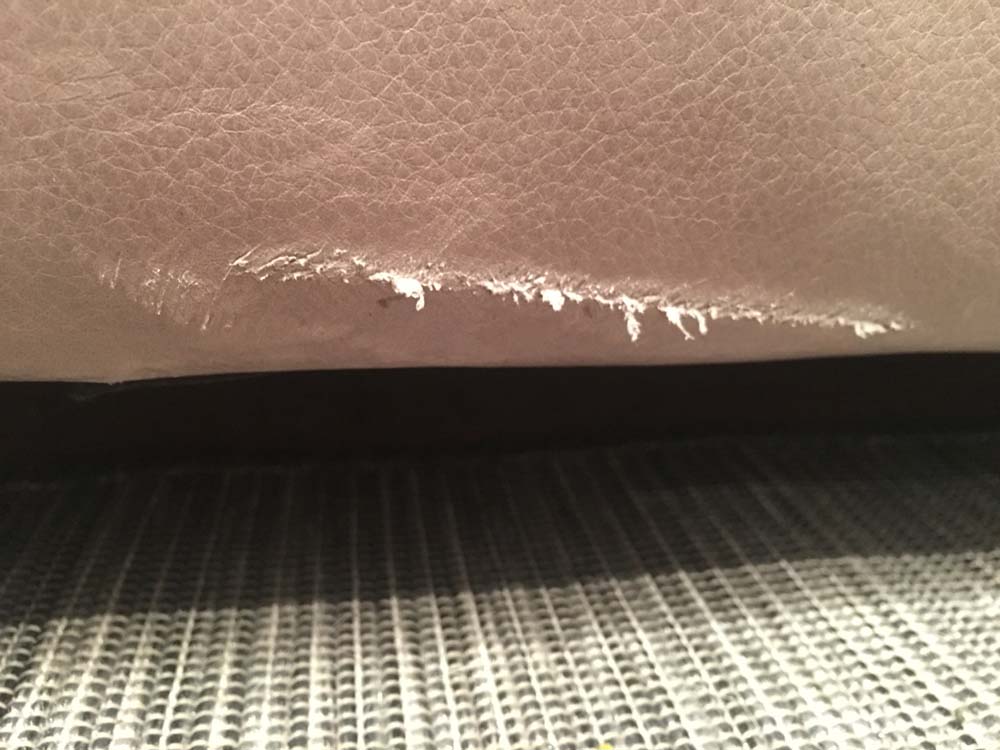 Second photo by Nata of A One Van Lines - Large