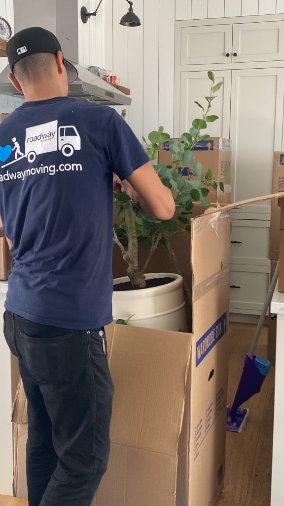 Second photo by Deepica Mutyala of Roadway Moving - Large