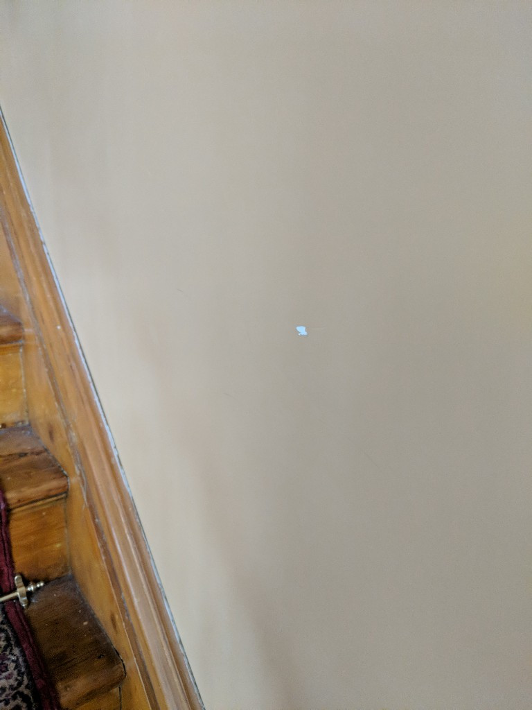 Photo by Dan Bellisario of Move-Ottawa Movers - Large