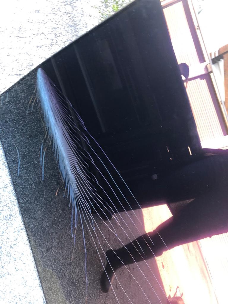 Photo by German Marcelino of Legacy Moving & Storage LLC - Large