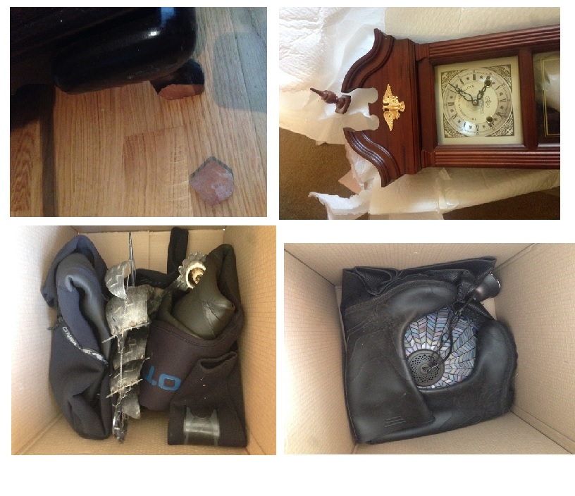 Photo by Dino A of PSS International Removals - Large