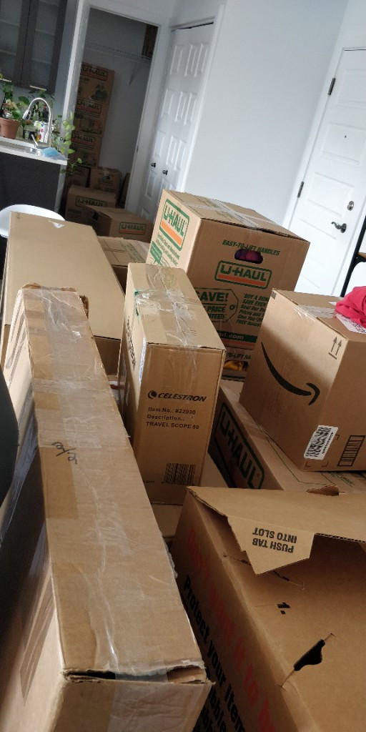 Photo by Pierre Bausiere of Crown Movers - Large