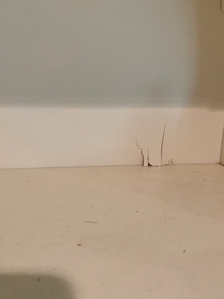 Photo by Emily Jones of Household Logistics - Large