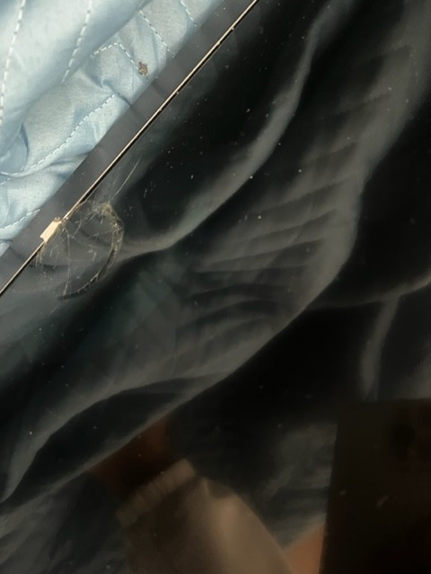 Second photo by Bina Patel of New Horizon Moving & Storage LLC - Large