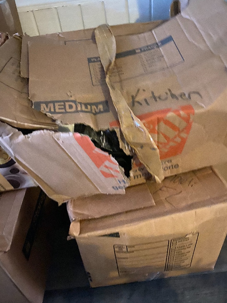 Second photo by Kaeli Thomas of Land Mark Moving and Storage - Large