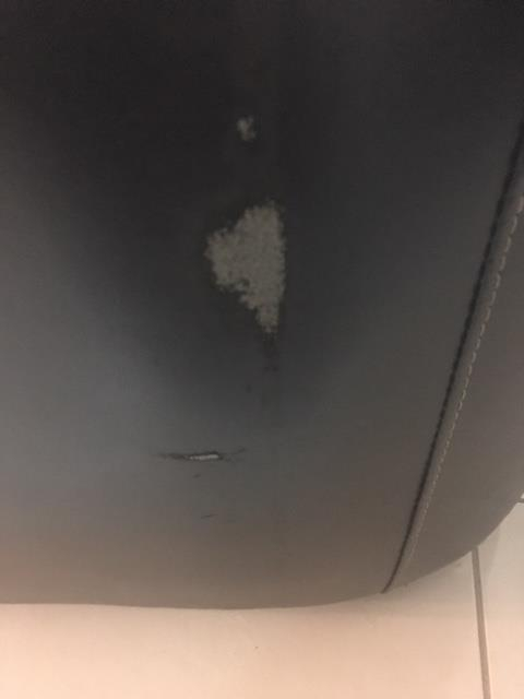 Photo by Fiona of Moving Again - Large