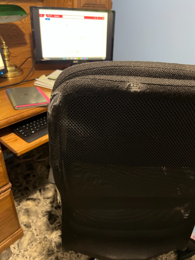 Photo by Melanie Parker of Canadian Van Lines - Large