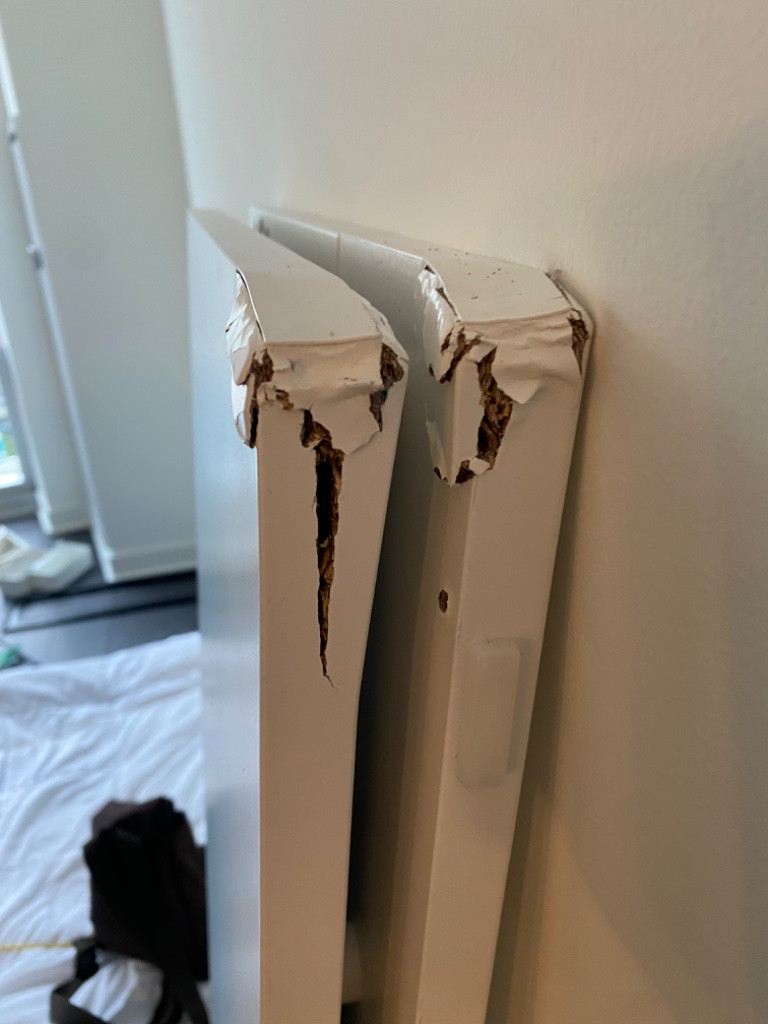 Photo by Ivy Chen of Trinity Relocation Group - Large