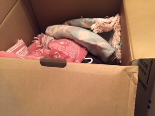 Photo by Starr Collins of Prestige Worldwide Moving - Large